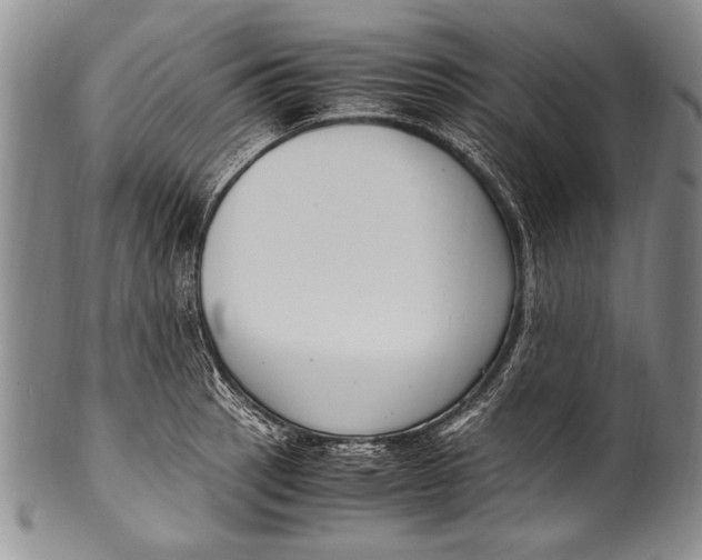 X0000100341137200806261320