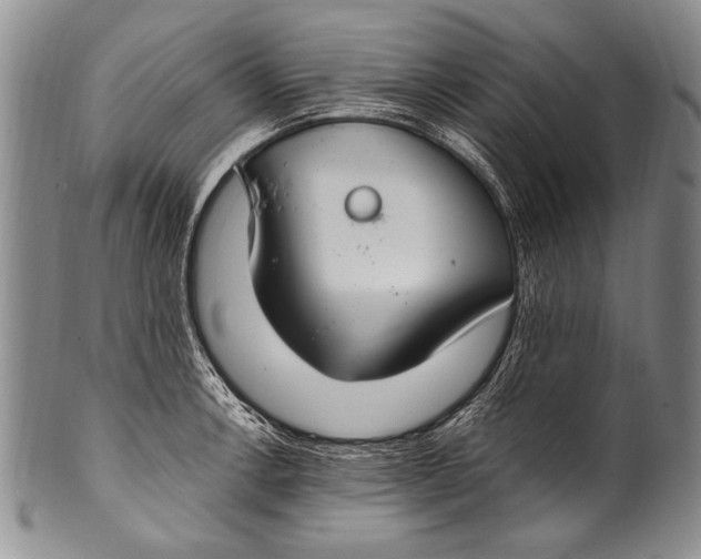 X0000100341138200806261320