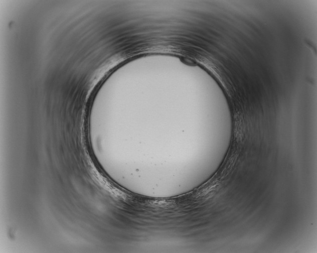 X0000100341139200806261320