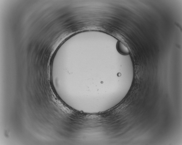 X0000100341140200806261320