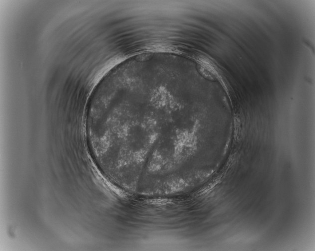 X0000100341141200806261320