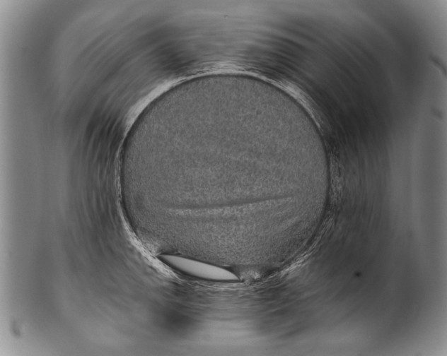 X0000100341142200806261320