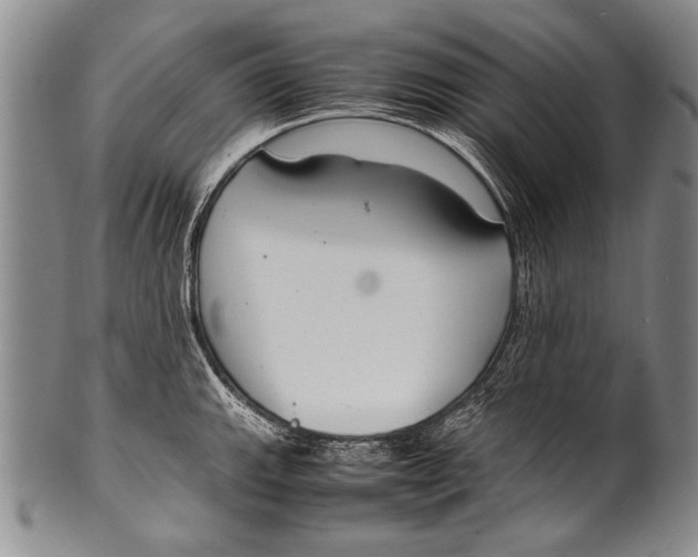 X0000100341143200806261320