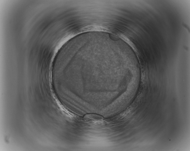 X0000100341144200806261320