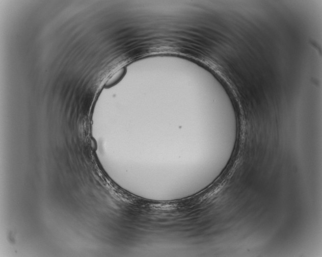 X0000100341145200806261320