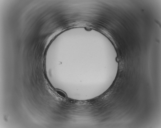 X0000100341146200806261320