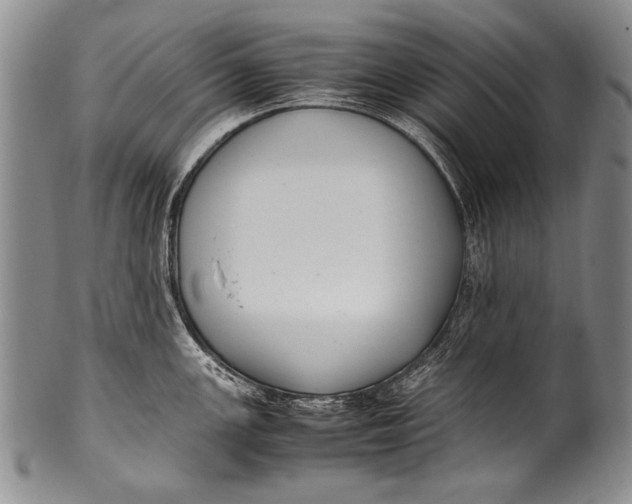 X0000100341147200806261320