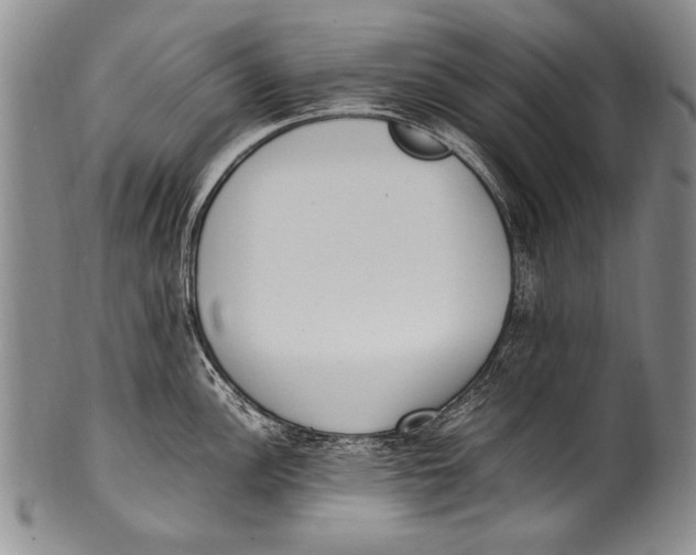 X0000100341148200806261320