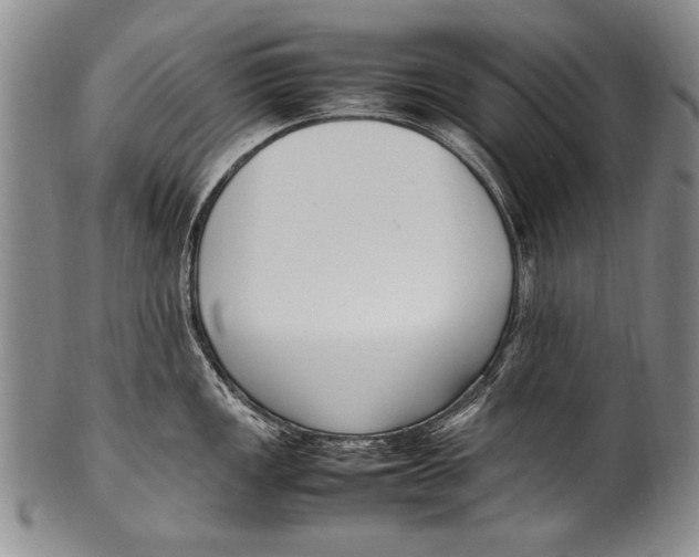 X0000100341149200806261320