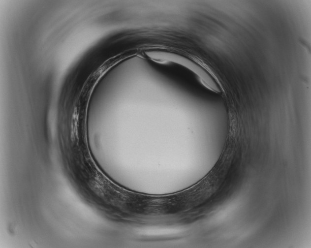 X0000100341151200806261320