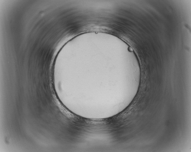 X0000100341152200806261320