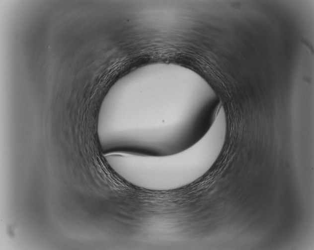 X0000100341153200806261320