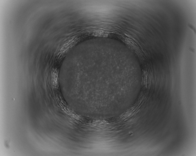 X0000100341154200806261320