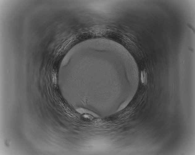 X0000100341155200806261320