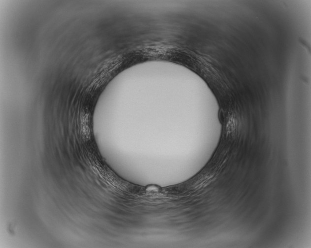 X0000100341156200806261320