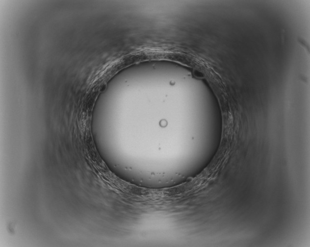 X0000100341157200806261320