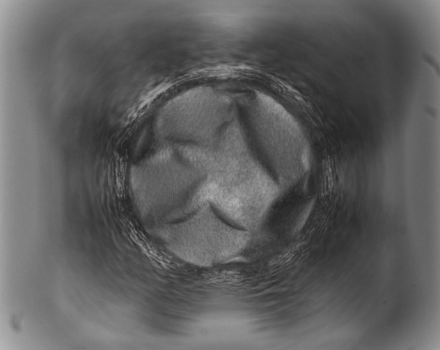 X0000100341158200806261320