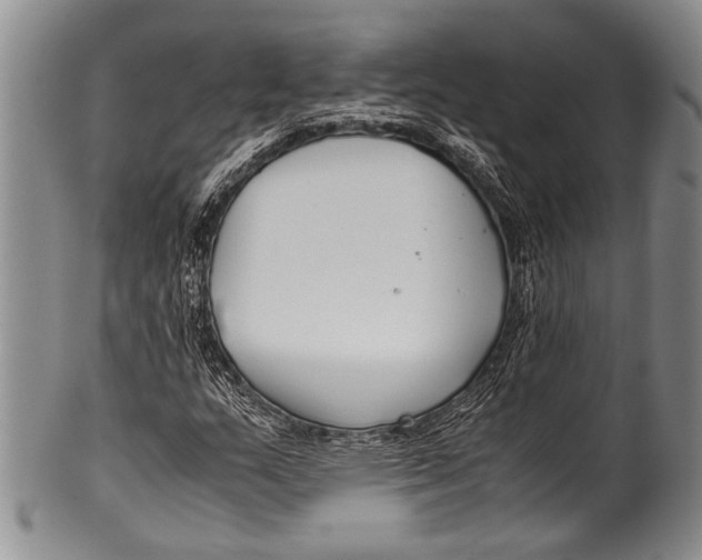 X0000100341159200806261320