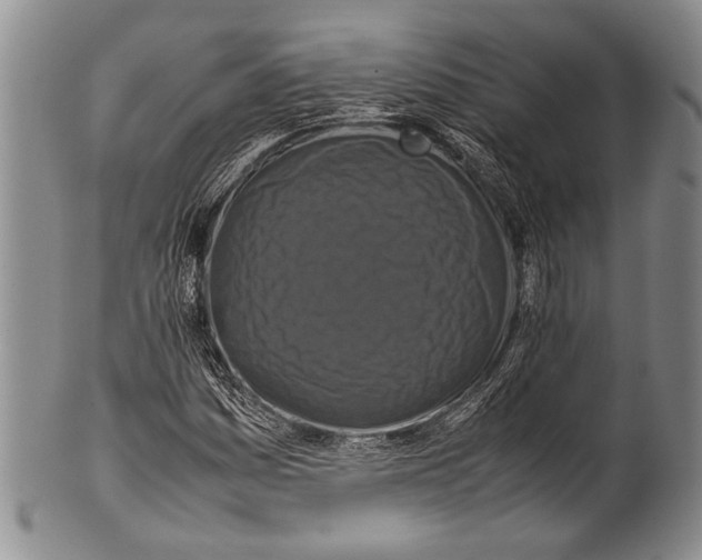 X0000100341161200806261320