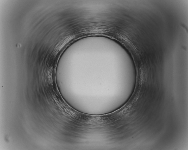 X0000100341162200806261320