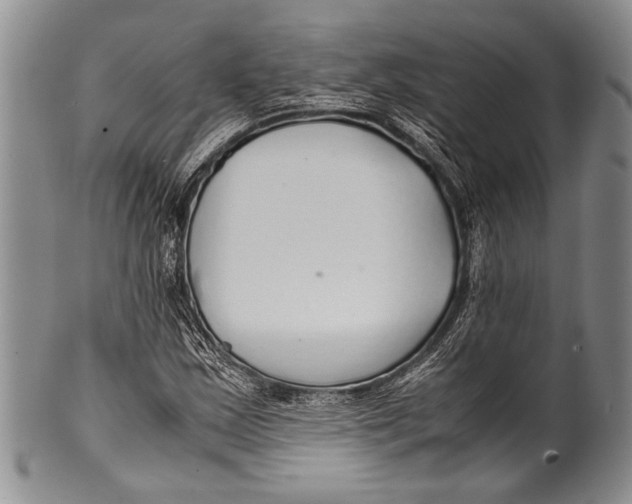 X0000100341163200806261319