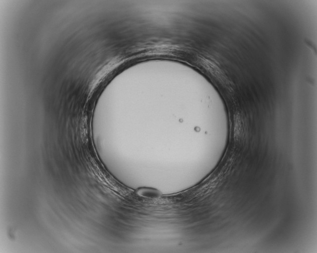 X0000100341164200806261319