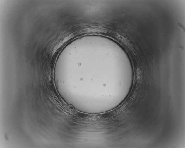 X0000100341165200806261319