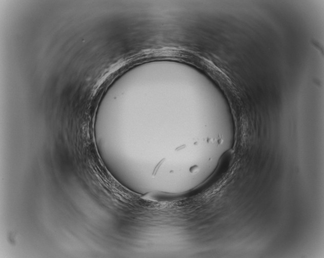 X0000100341166200806261319