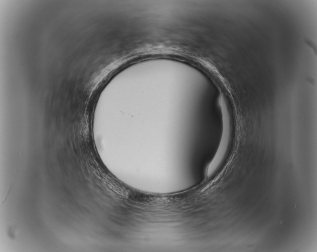 X0000100341167200806261319