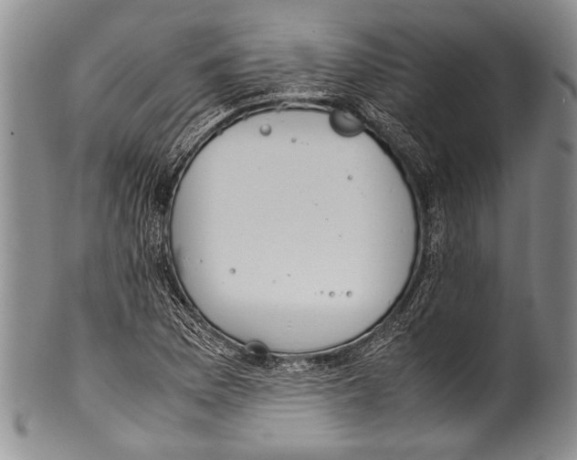 X0000100341169200806261319