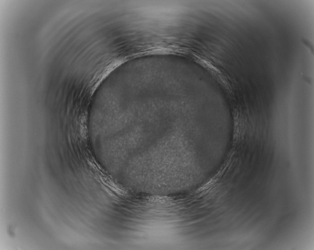 X0000100341170200806261319