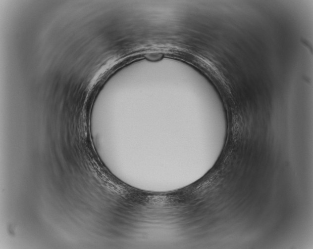 X0000100341172200806261319