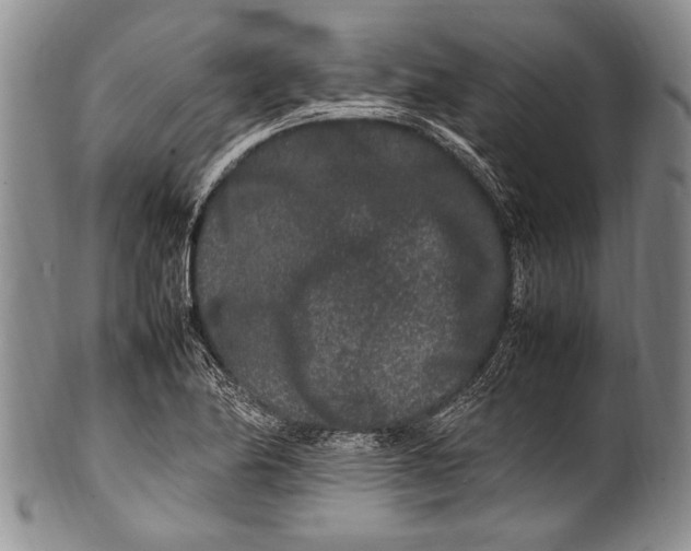 X0000100341174200806261319