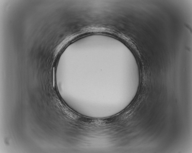 X0000100341175200806261319