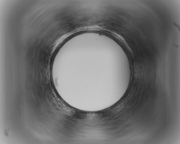 X0000100341176200806261319