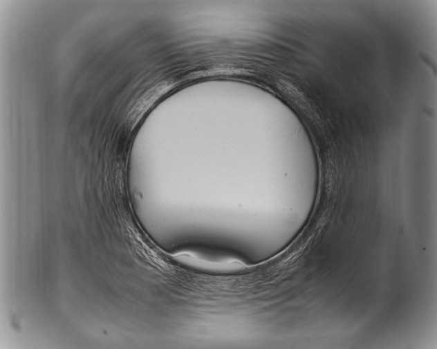 X0000100341177200806261319