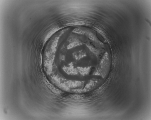 X0000100341179200806261319