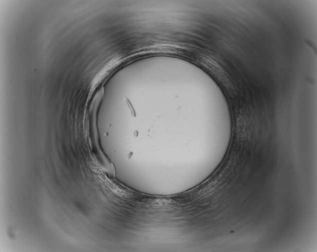 X0000100341180200806261319