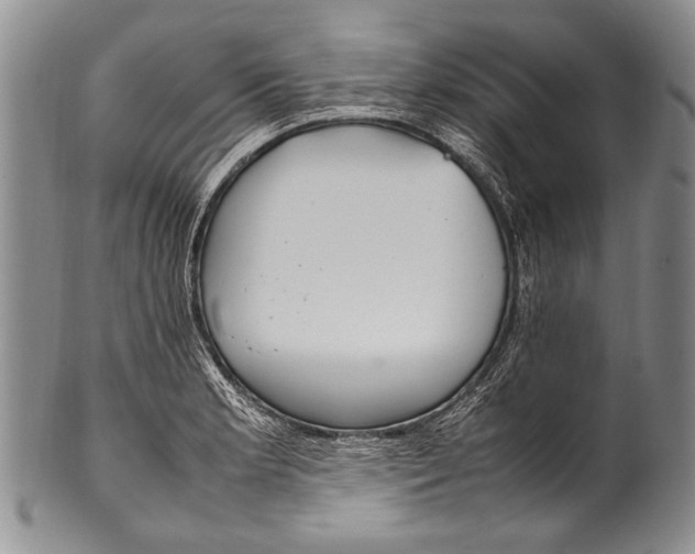 X0000100341181200806261319