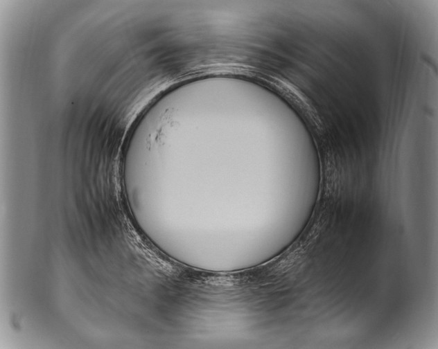 X0000100341182200806261319