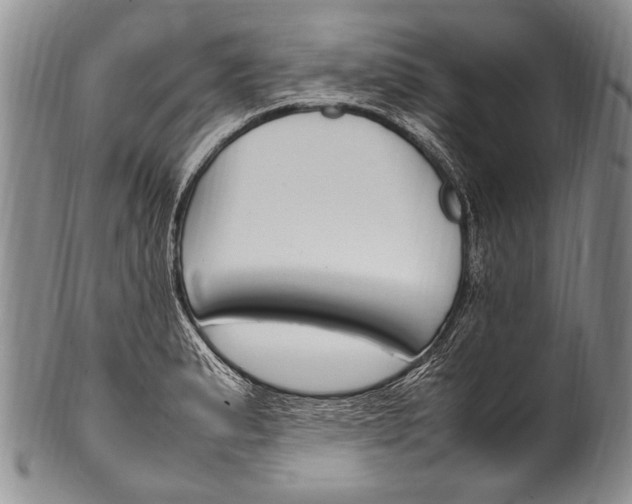 X0000100341183200806261319