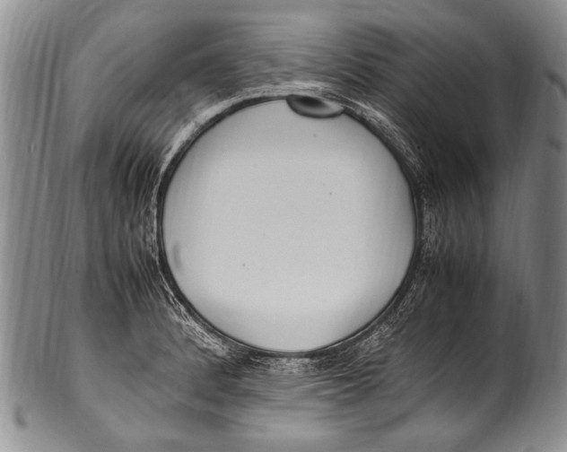 X0000100341184200806261319