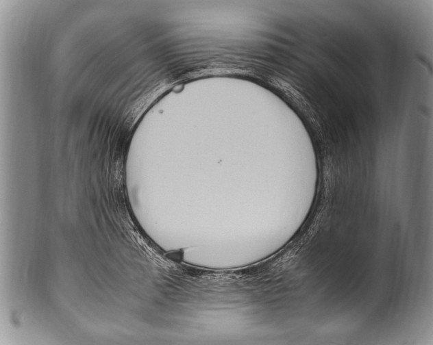 X0000100341185200806261319