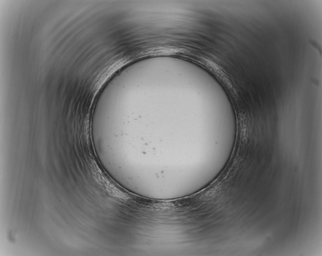 X0000100341186200806261319