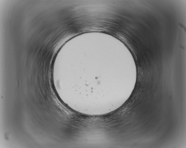 X0000100341187200806261319