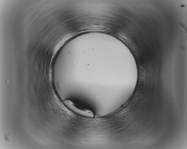 X0000100341188200806261319