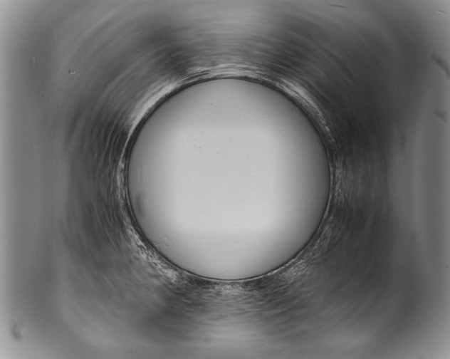 X0000100341190200806261319