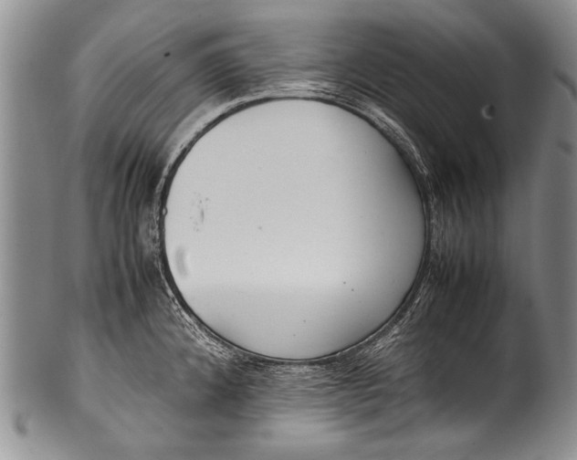 X0000100341192200806261319