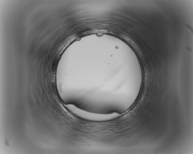 X0000100341193200806261319