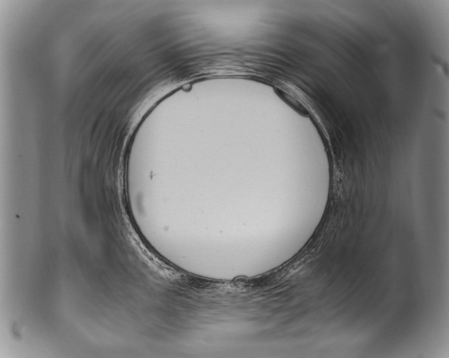 X0000100341195200806261319